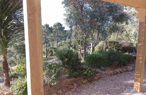 Casa de Celebrar a Vida - Foto 15