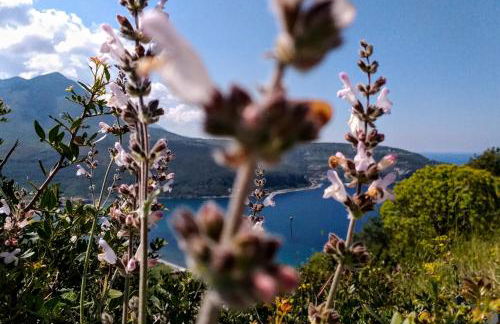 Achelatis Traditional Guest Houses - Foto 65