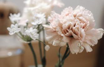 Luggishof - Photo 19