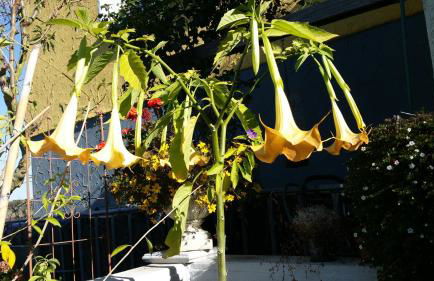 Ferienwohnung am Gipsberg - Photo 13