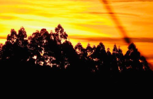 Cabana nas Nuvens - Foto 80