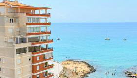 Atlantico Flamingo - Photo 2