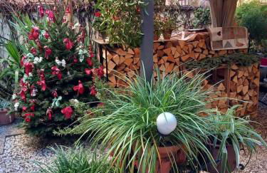 La Casa del Gallo - Foto 23