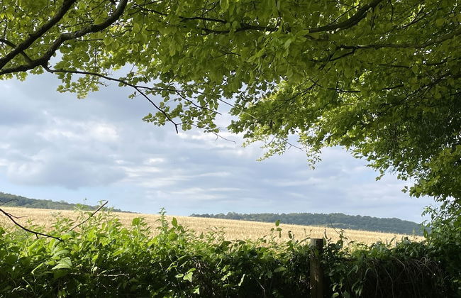 St Georges Balcony Suite - Photo 35