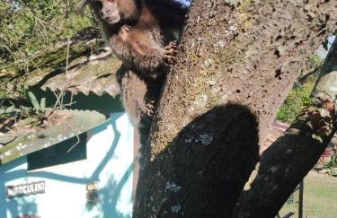 SÍTIO CONQUISTA FELIZ - Foto 42