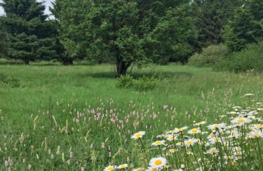 Rhöner Sternenhimmel FeWo 1 und 2 - Foto 12