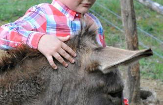 Agriturismo L'Accolta - Foto 11