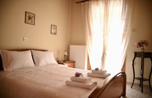 The Teacher's House - Foto 20