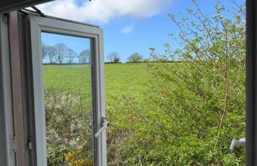 Seashells - Photo 12