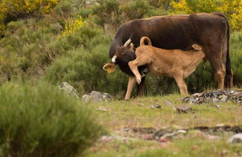 Paraíso Desconocido 1. Pura Magia - Foto 25