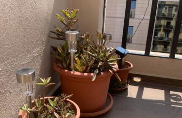 Ático en el centro con terraza - Photo 39