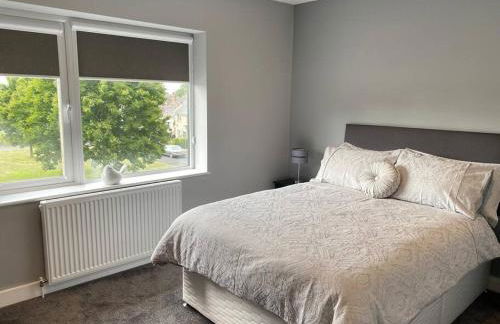 A modern, dog-friendly 3 bedrm canal side property - Photo 9