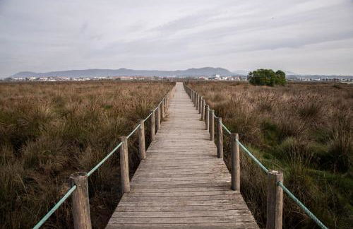 Bungalow B2 - Nature, Beach & River - Photo 72