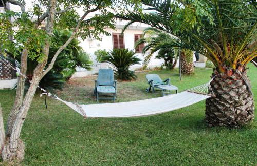 Vecchio Ulivo - Foto 25