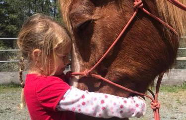 Amazing Loft on Horse Ranch - Foto 37