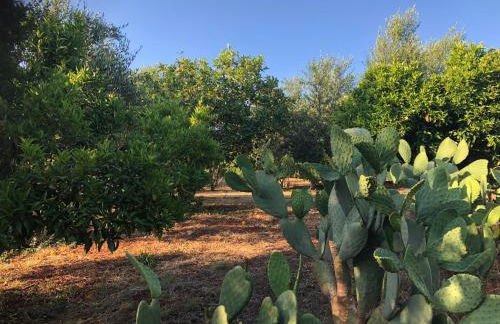 Beautiful Farm House - Foto 28