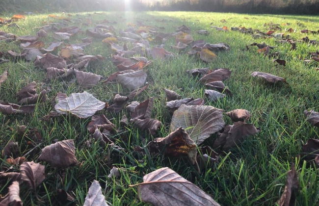 Detached Chalet with Terrace near Swimming Lake - Foto 16