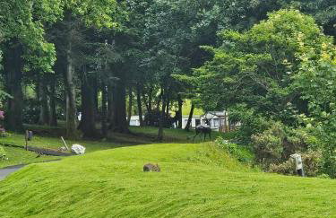 The Sunny Bunny Holiday Home - Foto 34