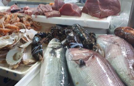 Iris Sabunike - Photo 45