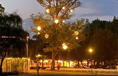 FeWo Roland Ranft direkt am Kurpark Barrierearm 60qm - Foto 56