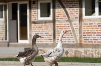 Reethus 22 Loft 2 - Foto 29