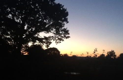 Tanybryn (Welsh meaning on the brow of a hill) - Photo 17