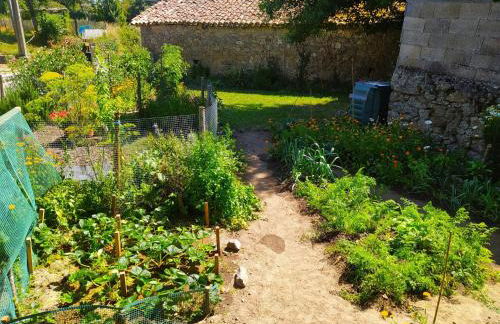 Fogar do Pumar - Foto 44