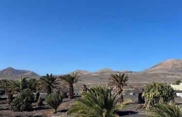 Finca Thiago - Foto 36