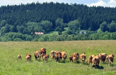 Domki nad Stawem Uherce - Foto 24