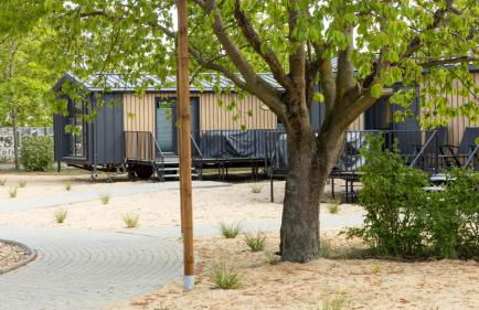 Mobile Homes Polen - Jersleber See Camping & Erlebnisresort - Foto 15