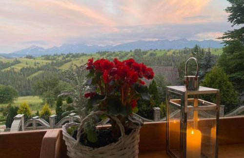 Dom Tatrzański Widok - Foto 25