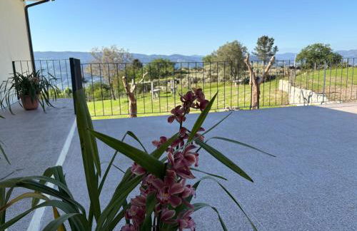 Quinta de Fonte Coberta - Foto 5