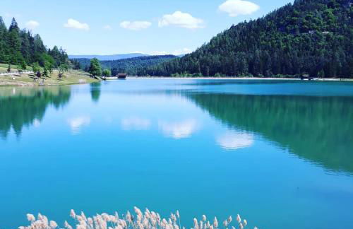 Casa Bamby - Foto 48