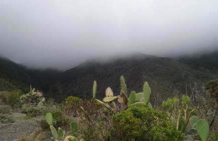 Sunset El Pris - Foto 43