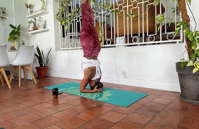 The Monteray Hotel - Foto 5