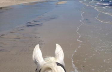 Masseria Prosperi - Photo 126