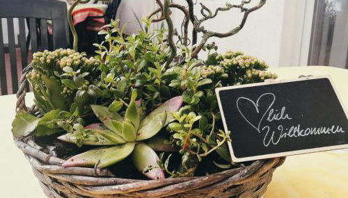 Reet Landhaus Rügen - Foto 3