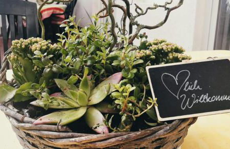 Reet Landhaus Rügen - Foto 3