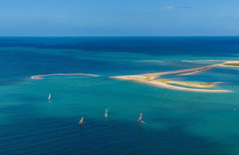 Dune et Terrasse - Photo 47