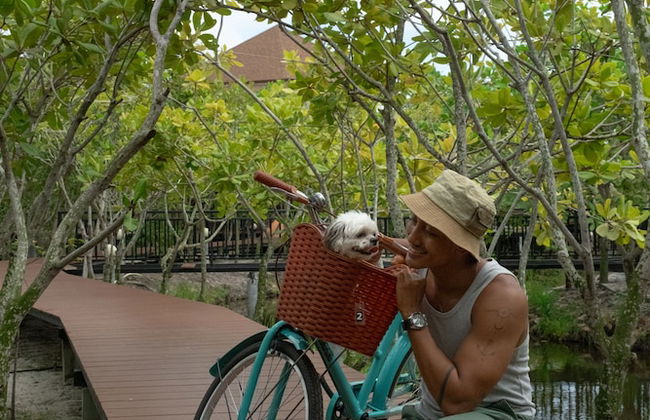 The Beatles Lagoon - Photo 33