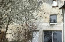 La troglo aux oiseaux - Foto 2