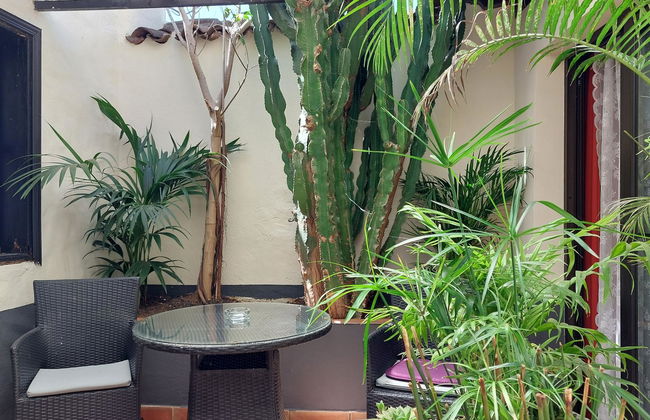 Apartamentos Monasterio de San Antonio - adults only - Photo 18