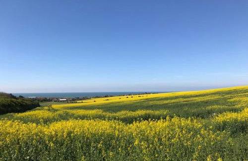 Cairo House - Foto 28