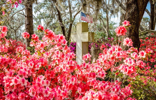 Excursión a Wormsloe y el cementerio Bonaventure - Foto 2