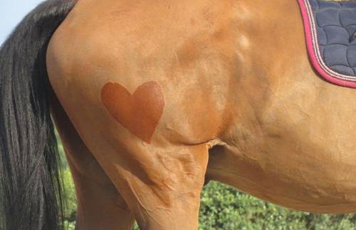 O Cantinho da Penetra AL - Foto 48