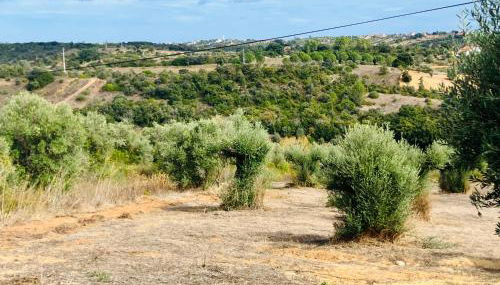 Casa Elo - Fresh-Built Home with Pool - Foto 5