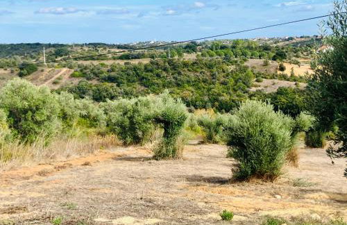 Casa Elo - Fresh-Built Home with Pool - Foto 5