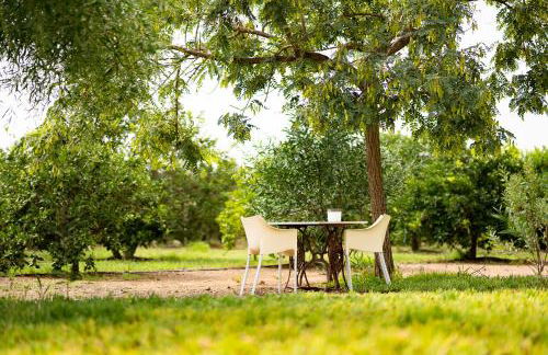 Mas Montbrio Belvedere - Foto 68