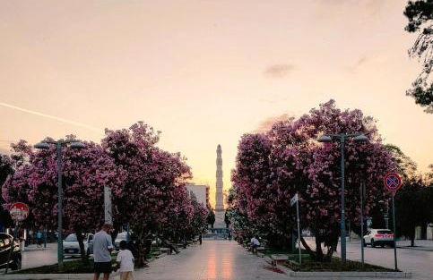 ViaPalmieri45 - Foto 21