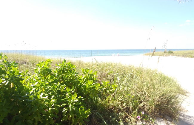 Turtle Crawl Inn - Foto 62